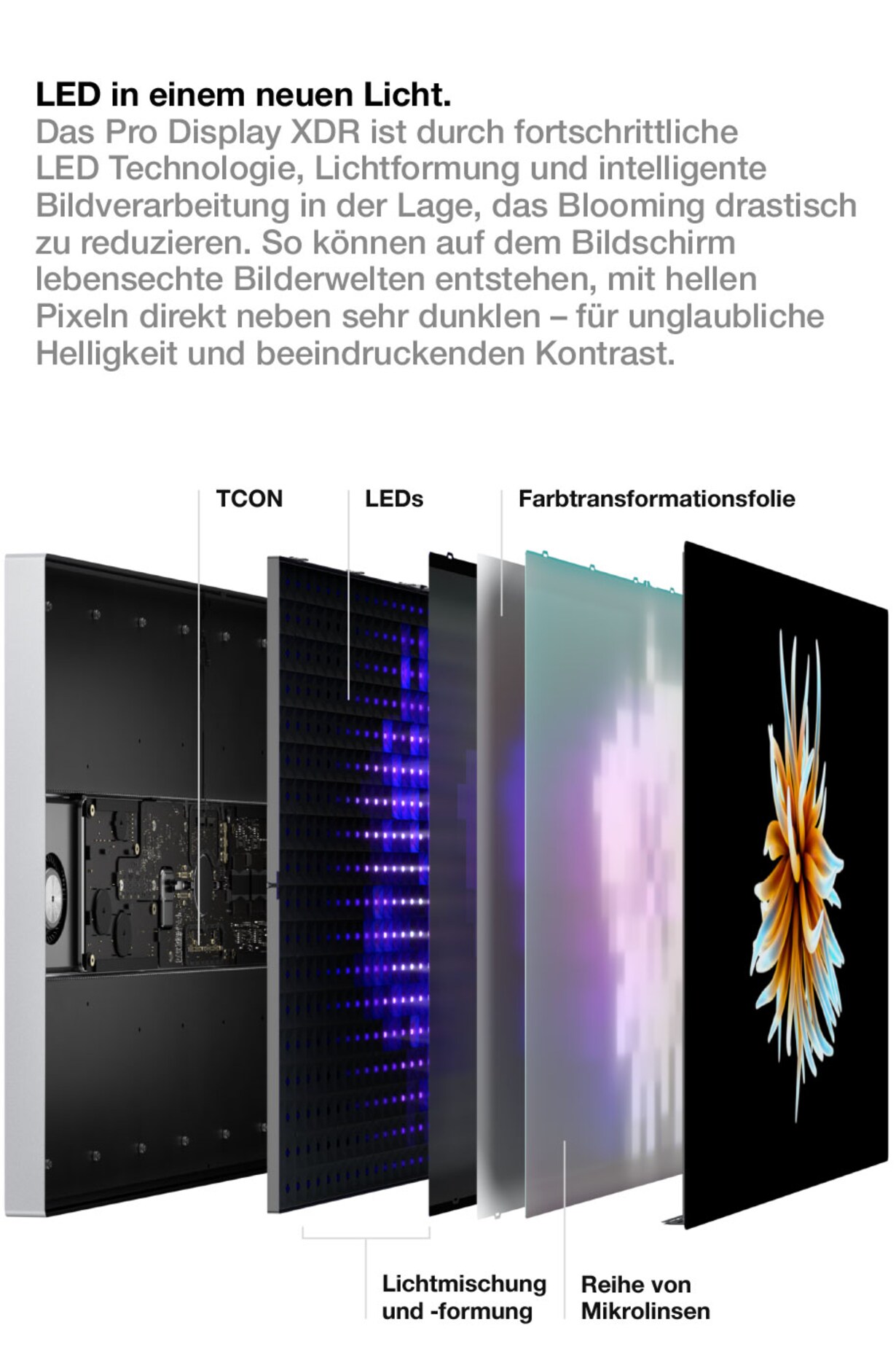 Zu den Apple Pro Display XDR