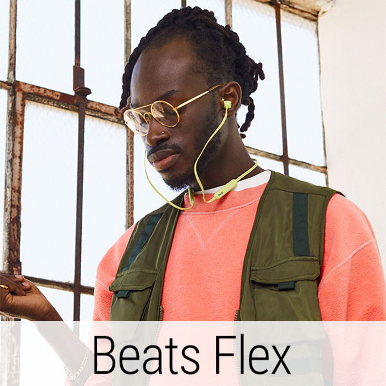 Zu den Beats Flex