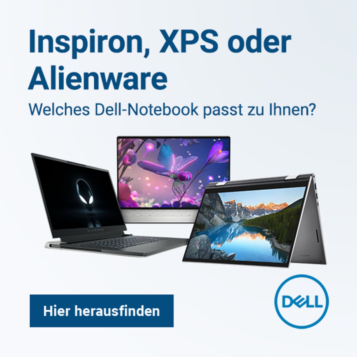 Zur Dell-Notebook-Beratung