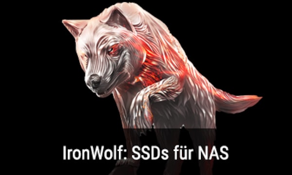 Zu den IronWolf-SSDs von Seagate